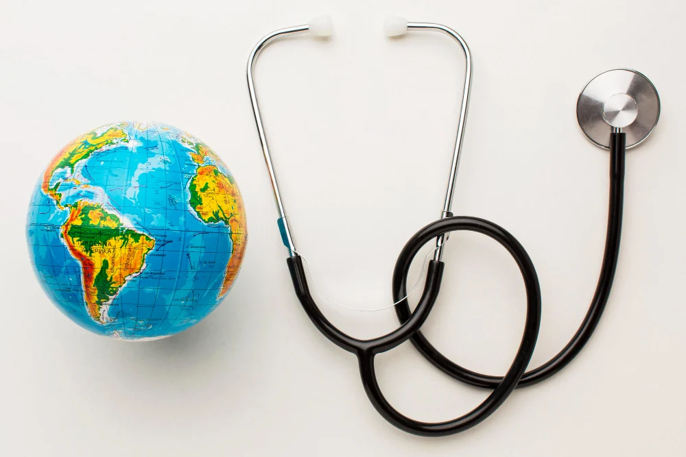 klinik seo adımları